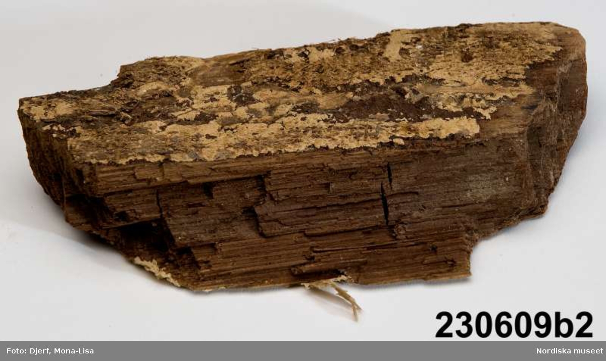 Huvudliggaren:
"Toffel, fragmentarisk, av brun sammet med lädersula (a1-2). Träfragment (b1-8). Fynd inom resterna av murad grav i Gällestads kyrka."