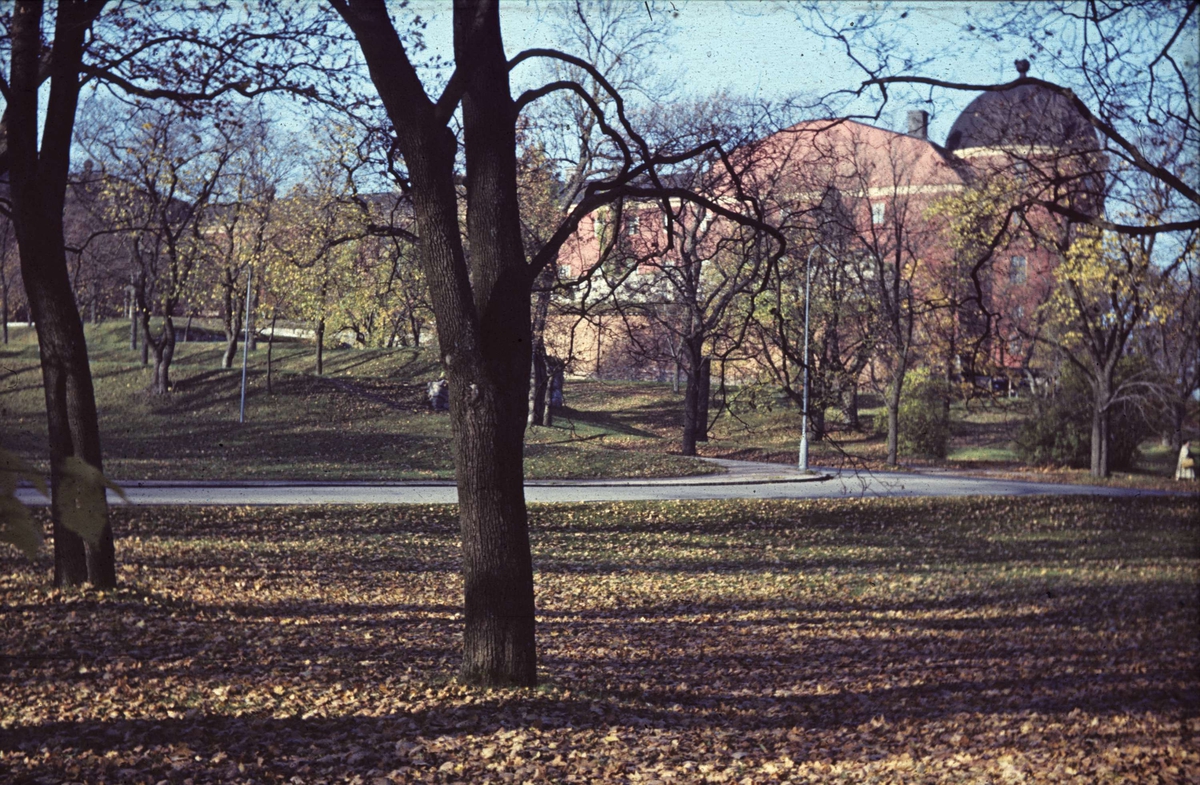 Park med Uppsala slott i bakgrunden