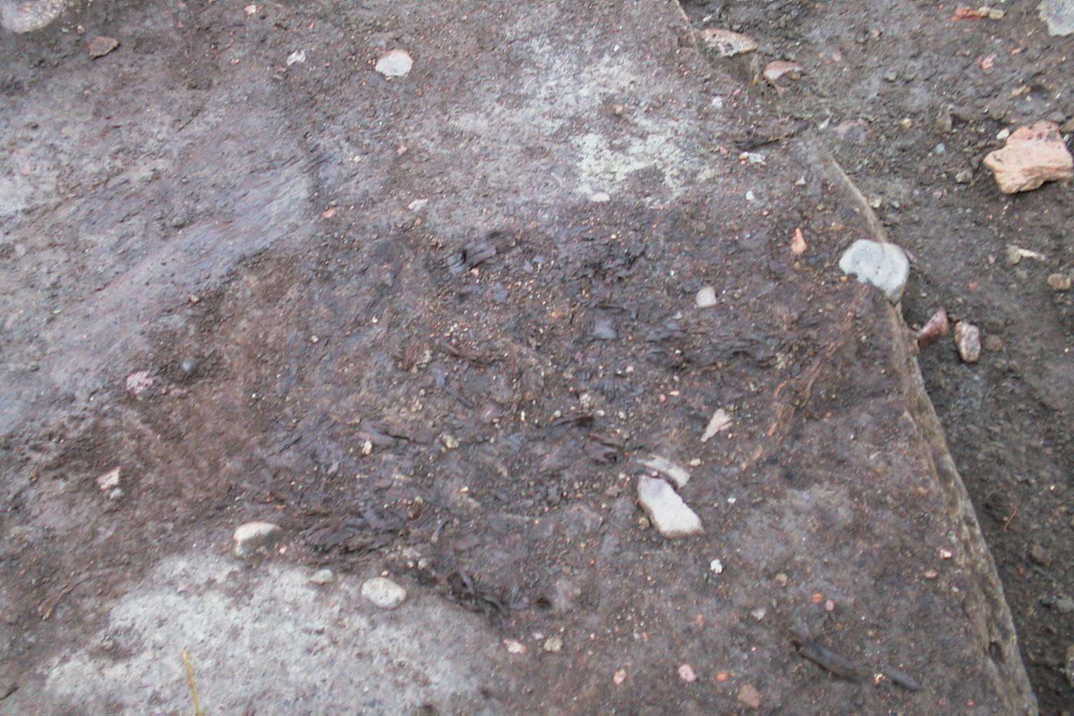 Undersökningsyta, arkeologisk undersökning i kvarteret Örtedalen, 
Uppsala 1999
