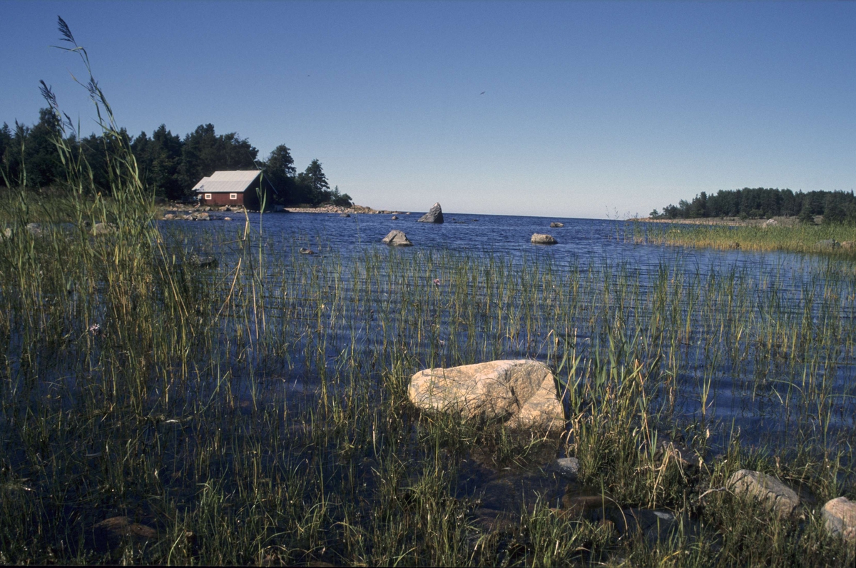 Naturreservatet Kapplasse, Marskär, Sikhjälma, Hållnäs socken, Uppland 2000