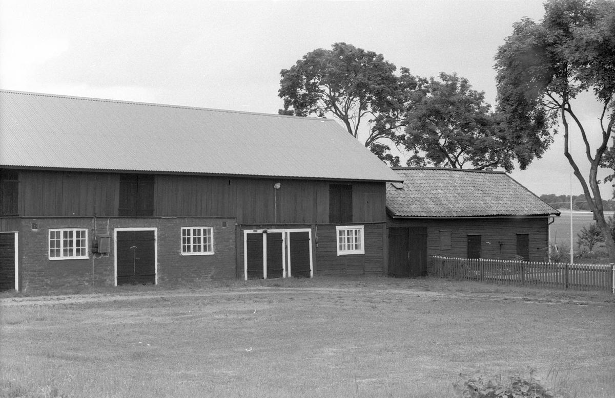 Ladugård, stall och vedbod, Söderby 2:2, Stora Söderby, Danmarks socken, Uppland 1977