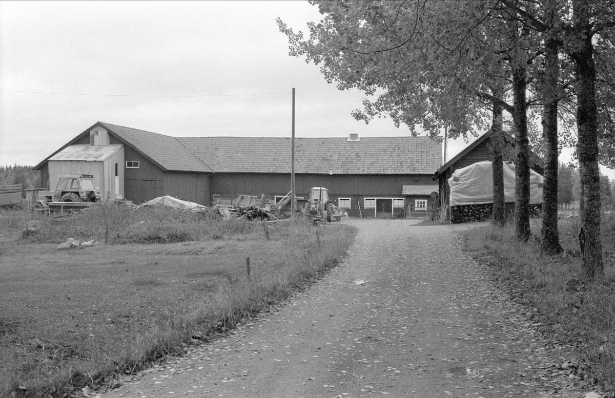 Ladugård och lada, Räbbo, Bälinge socken, Uppland 1983