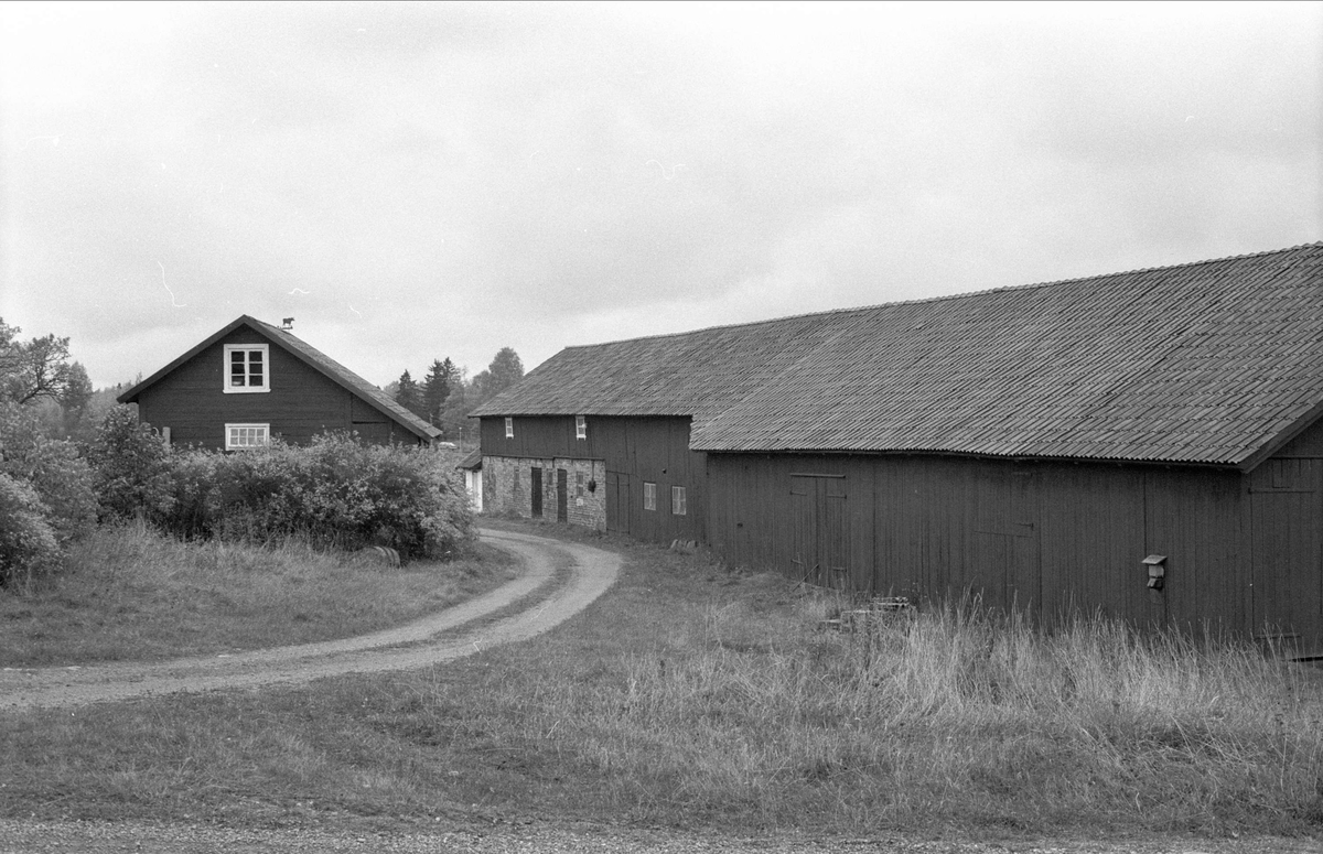 Uthus, ladugård, stall och lada, Oxsätra 1:17, Bälinge socken, Uppland 1983