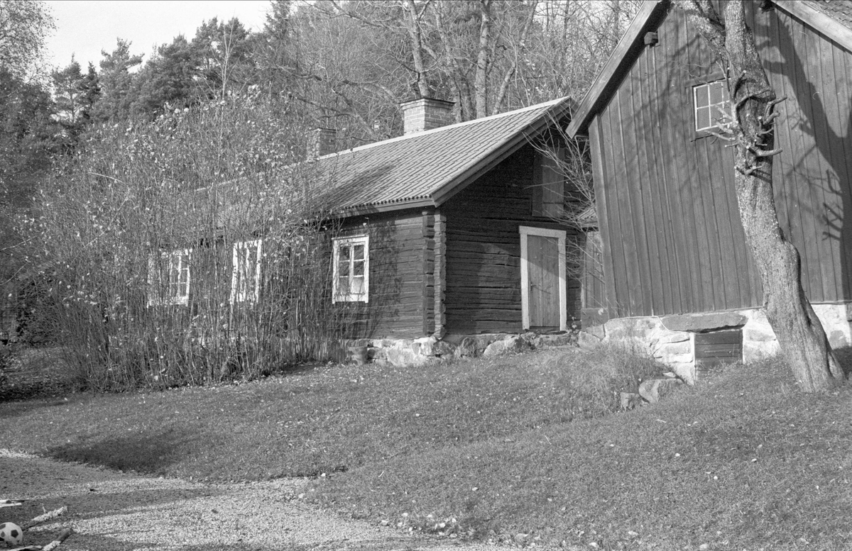 Källarbod, Ännesta 2:1, Dalby socken, Uppland 1984