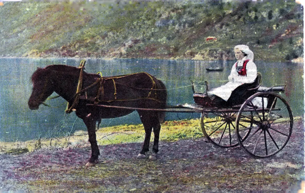 Bunadkledd kvinne i trille bak hest. Fjordlandskap.