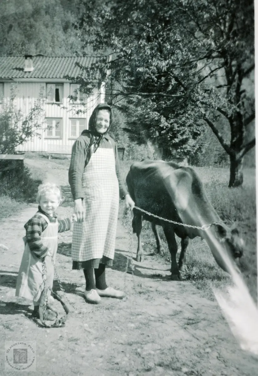 Bestemor Grethe Høyland med barnebarnet på Høyland. Grindheim Audnedal.