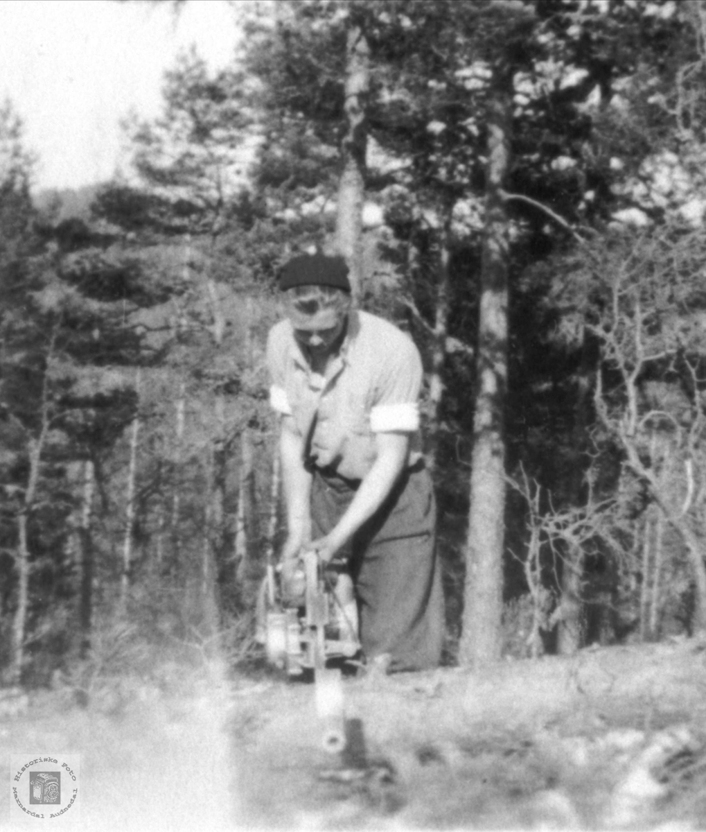 Skogsarbeid ved John Roland i Bjelland.