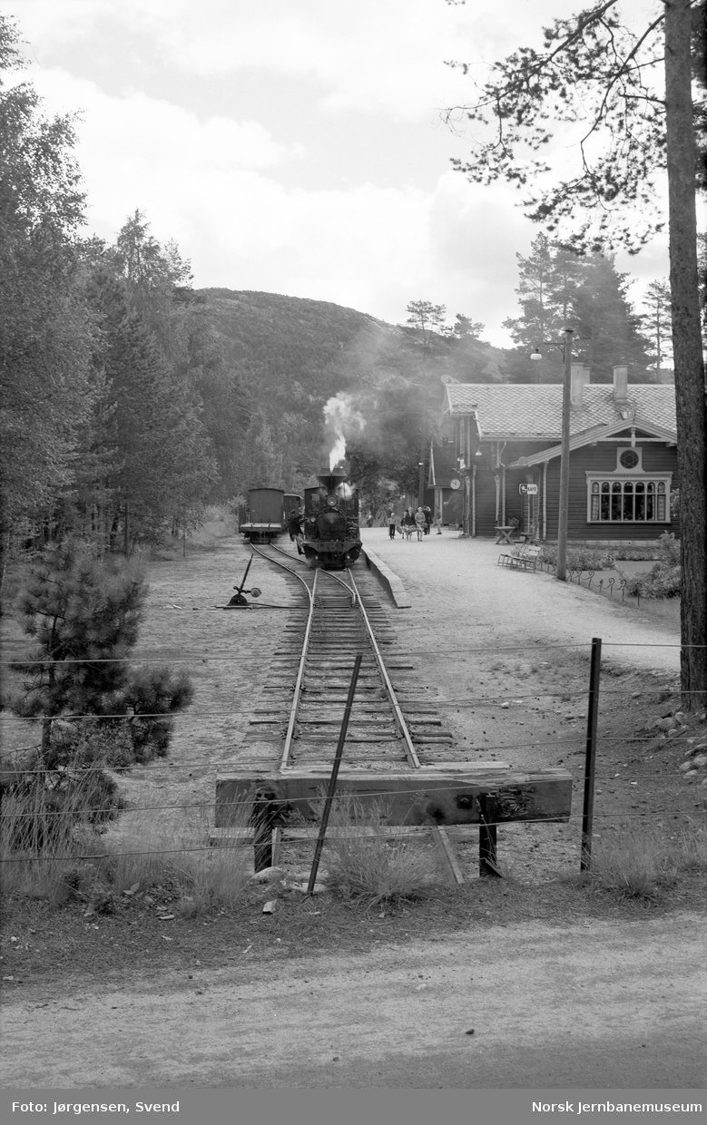 Damplokomotiv med godstog på Byglandsfjord stasjon