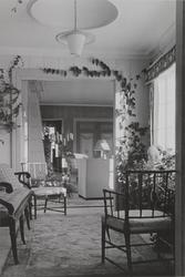 Langveis [Fotografi]