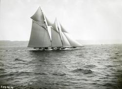 KNS-regatta 1914