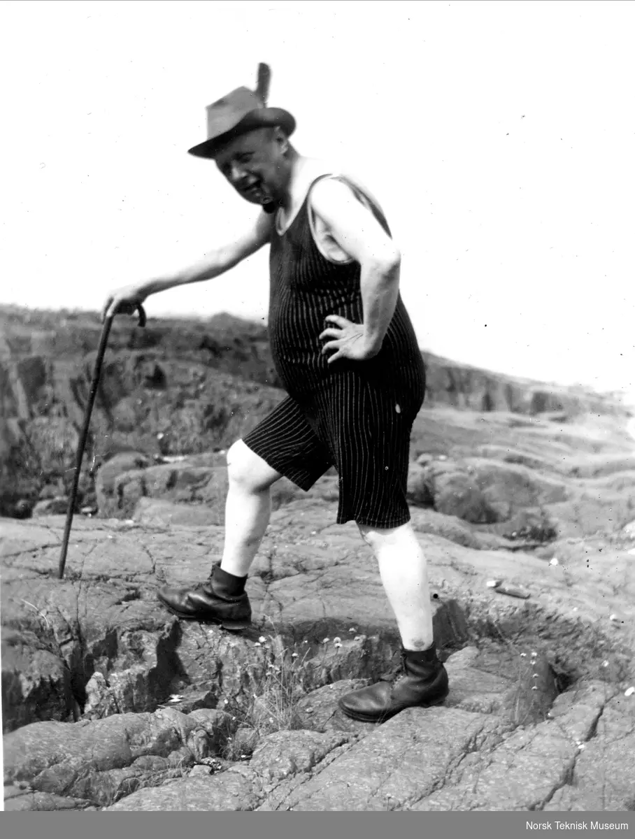 Carl Størmer, 1931