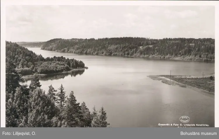 Tryckt text på kortet: "Bullaresjön från Ramberg, Östad."
"Förlag: O. & S. Helgen. Bullaren."