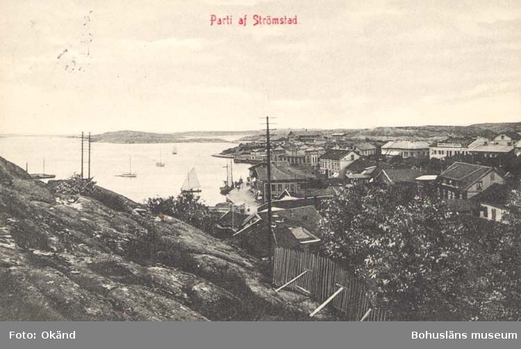 Tryckt text på kortet: "Parti af Strömstad."
"Krügers Cigarrraffär, Strömstad."