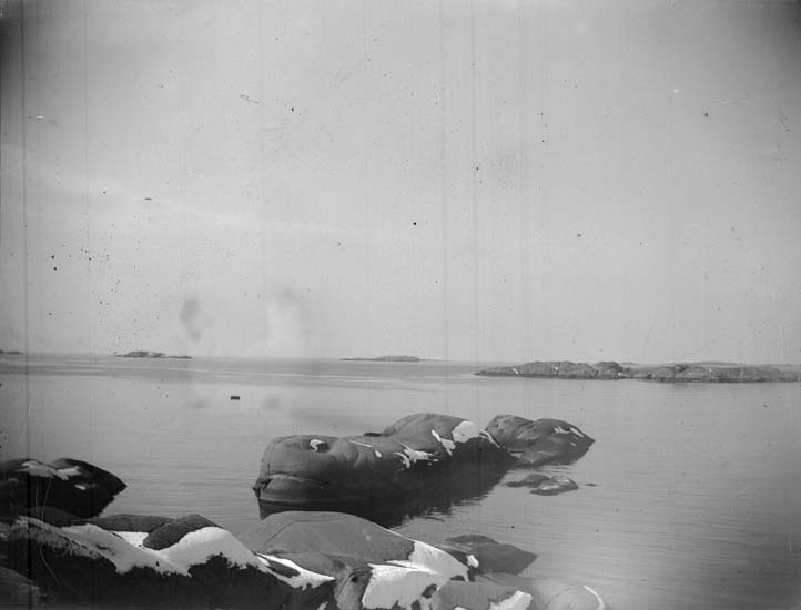Enligt text som medföljde bilden: "Lysekil, vid Stångehufud, Hvalen 1899".