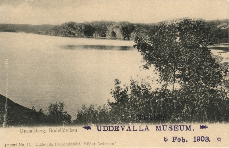 Tryckt text på vykortets framsida: "Gustafsberg, Bodelidviken."