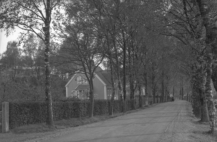 Enligt fotografens noteringar: "1938. 25. Villa Tången med eller .......?".