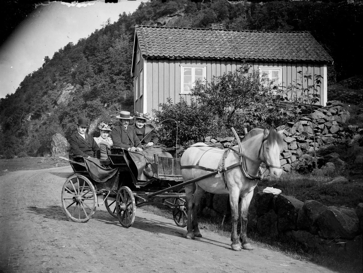 Hest og vogn i Sokndal