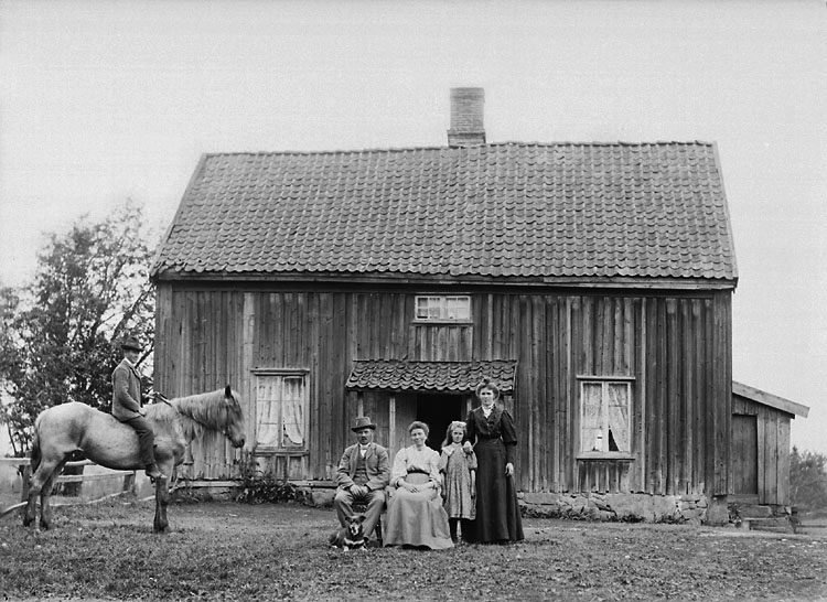 Familjeporträtt med häst och hund