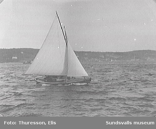 Förmodligen Elis Thuressons segelbåt "Ejdern".