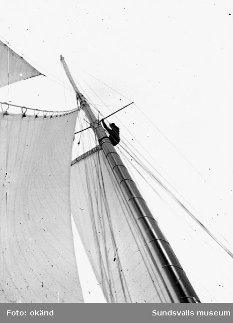 Man uppe i den ursprungliga gaffelriggen på segelbåten "Allona"."Allona" beställdes av Wilhelm Bünsow, med Lennart Norström som senare ägare. Hon byggdes 1899 på Stockholms Båtbyggeriaktiebolag,t roligen ägt av August Plym. Konstruktören var ingenjör Axel Nygren.Längd över allt, l ö a, var 26 meter, längd efter vattenlinjen, l v l, 19 meter, bredd 5,20 meter, djupgående 3,70 meter. Deplacementet var på 9 ton. Segelarean omfattade 300 m2 (375 m2 ursprungligen, före omriggningen). Båten var utrustad med gaffelrigg, bermudasrigg, mesanmast (för att sätta segelmängden lättare?). I kajutan fans sex kojer, i chefshytten och i styrmanshytten vadera fyra kojer, samt tre kojer i skansen.