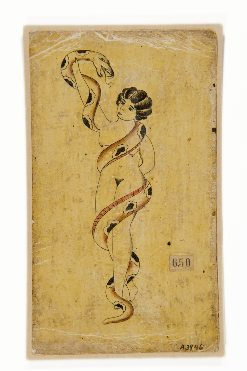 Tatueringsförlaga. Naken kvinna omslingrad av orm.

"Kvinnan och ormen är ett av de vanliga motiven bland Sjöhistoriska museets förlagor. Ormen som slingrar sig runt kvinnan kan ge associationer till Eva och ormen i paradiset. Det kan även förknippas med en ormtjuserska, där kvinnan har kontroll över ormen."

Text från appen "Tatuera dig med Sjöhistoriska" som gjordes i samband med utställningen Tro, hopp och kärlek 2012.