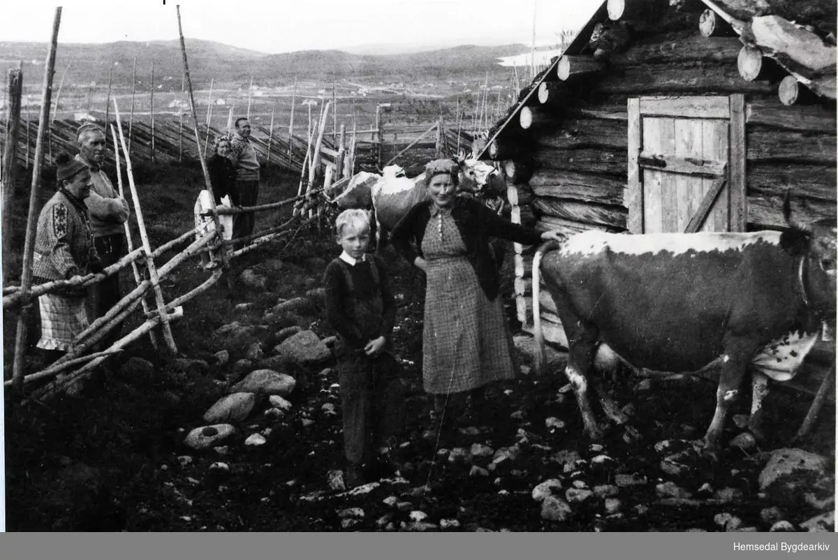 Jordestølen i Hemsedal..
Eline Jordheim står til høgre. Dei hine er byfolk.
Biletet er tek i 1945.