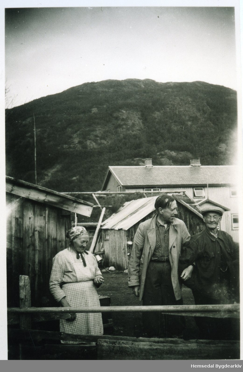 På Feten i Hemsedal ein gong på 1950-talet.
Frå venstre: Ingrid Hulbak (1867-1963), Hans Jacob Ustvedt og Erik Trøim (1871-1964)