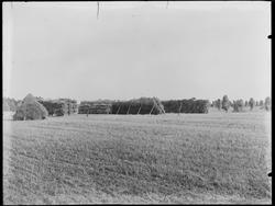 Kalnes  landbruksskole i Tune ved Sarpsborg, 1931-32. 
Hesj