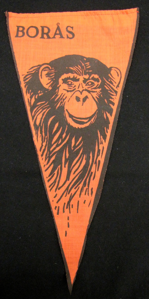Cykelvimpel från Borås. Motivet är tryckt  med motiv av en apa, visande på Borås djurpark.

Vimpeln ingår i en samling av 103 stycken.