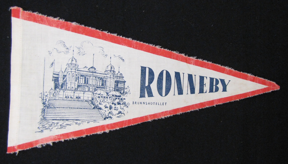 Cykelvimpel från Ronneby. Motivet är tryckt  med motiv av Brunnshotellet på orten.

Vimpeln ingår i en samling av 103 stycken.