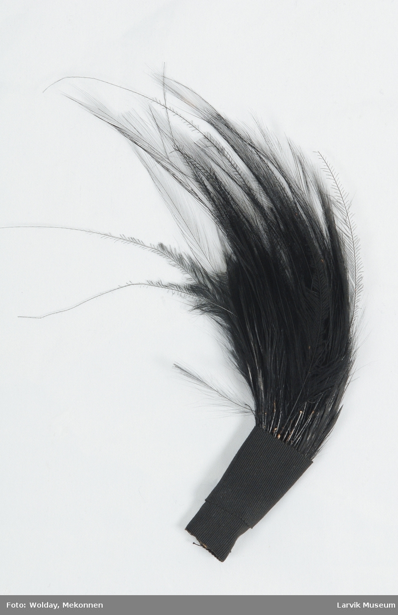 Form: et knippe sorte fjær, omviklet med sort bånd
