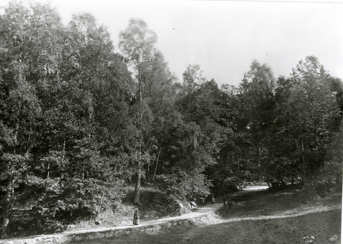 Tre personer spaserer på veien inn til Berg gård. Ca. 1885 -1890. Tante Jette står trolig midt på bildet.