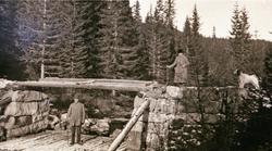 Mann og kvinne på jakt med fuglehund
Åkrokdammen i Kålidale