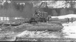 Skogsdrift, Spillumsstranda, Namsos. Lasting av tømmer.