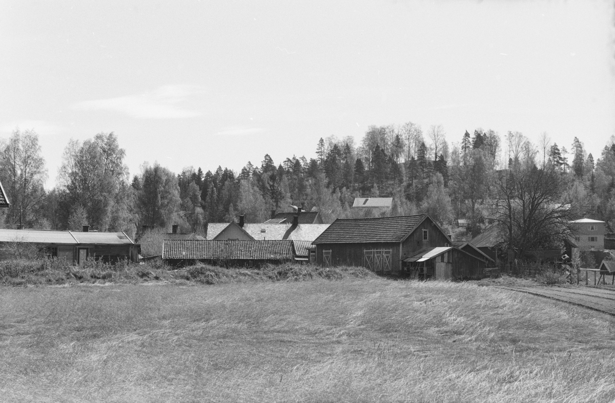 17. mai. Elverum. 
 1962. Uthus ved Nyborg. 