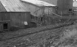 DOK:1983,låve, silokummer,