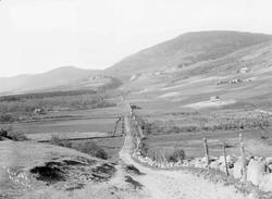 Kort: Dovre 15/6 1908, den gamle vegen gjennom Dovre, Tofte 