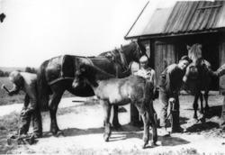 Utenfor smia på Buskerud gård i Gjerdrum.