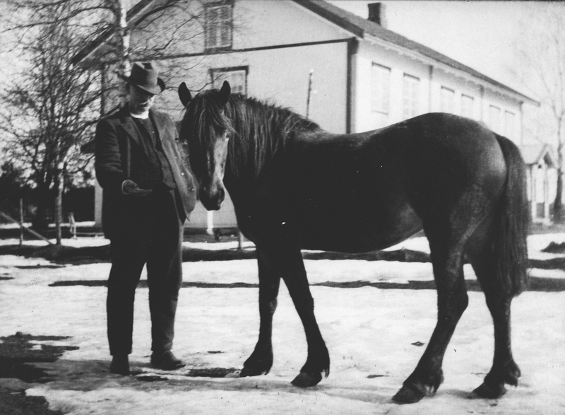 Ole Nordby med hest.