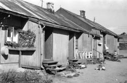 Brakker på Etterstad,.august 1961