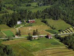 Gårdsbruket ovenfor veien heter Sagbakken. Da dette bildet b