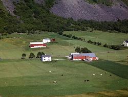 Nordgård opp mot veien ser en murene etter tidligere bolighu