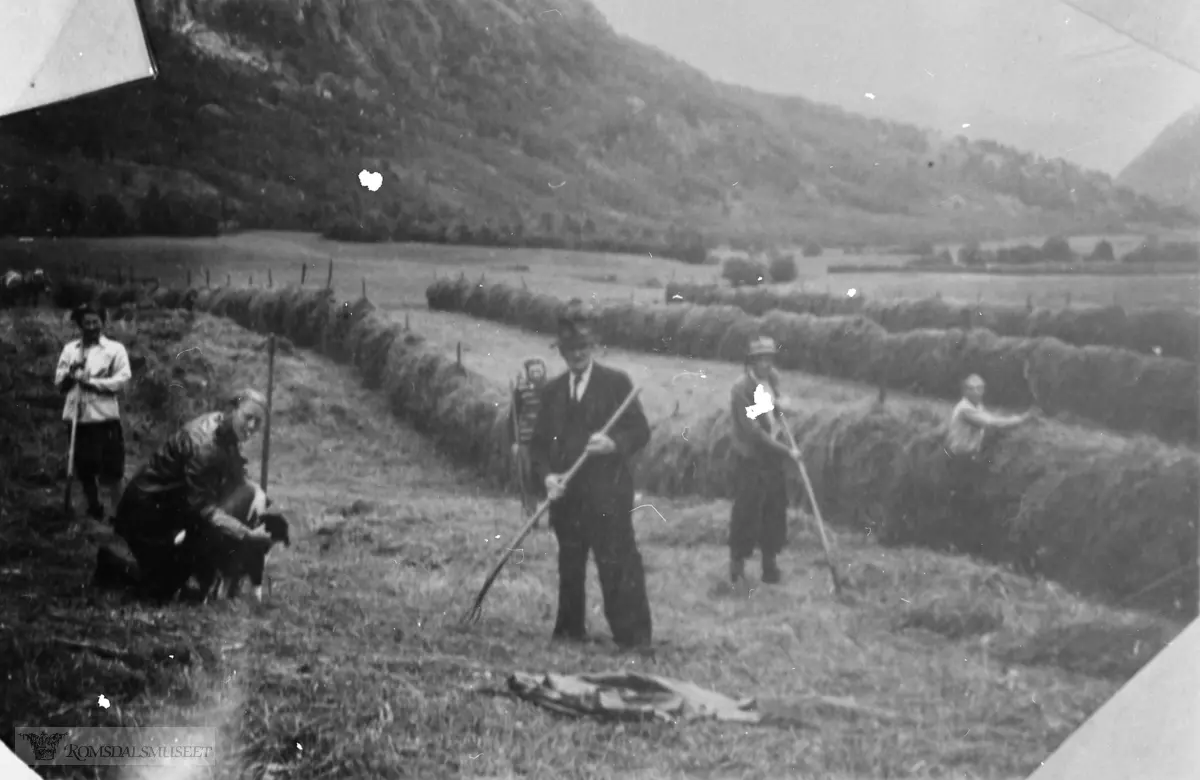 Slåttonn på Nordvollen i Eresfjord ca. 1938.