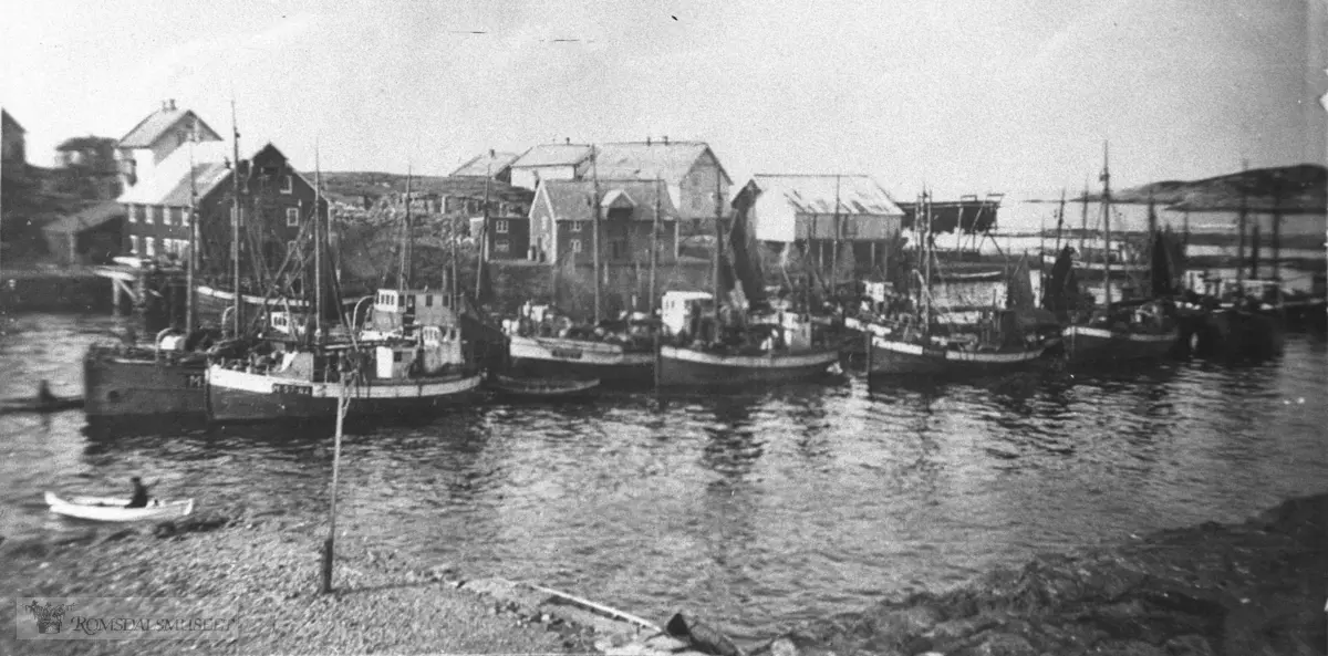 Hammerøya tatt fra Nordre Bjørnsund..Havna under Vårdsildefisket i 1936.
