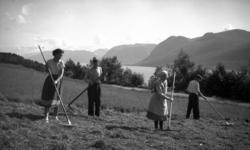 Slåttearbeid i Åramshagen, Ranvika.