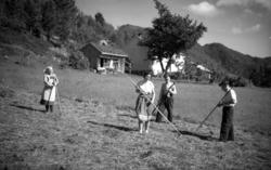 Slåttearbeid i Åramshagen, Ranvika.