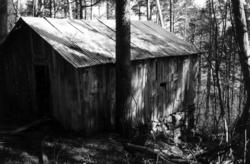 Sommerfjøset til Bjordal. Denne fjøsen hørte til folkene på 