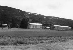 .(Bilder brukt i "Gards- og ættesoge for Nesset").