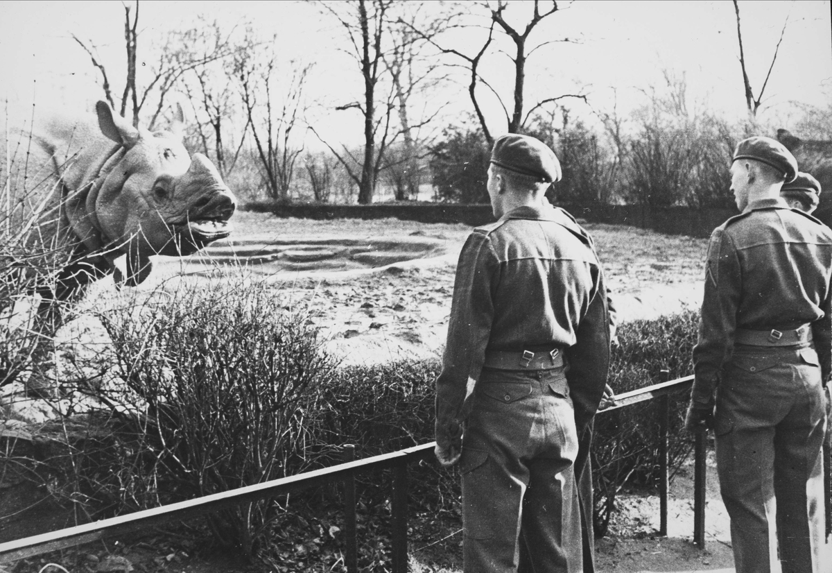 Brigadesoldater på permisjon besøker dyrepark.