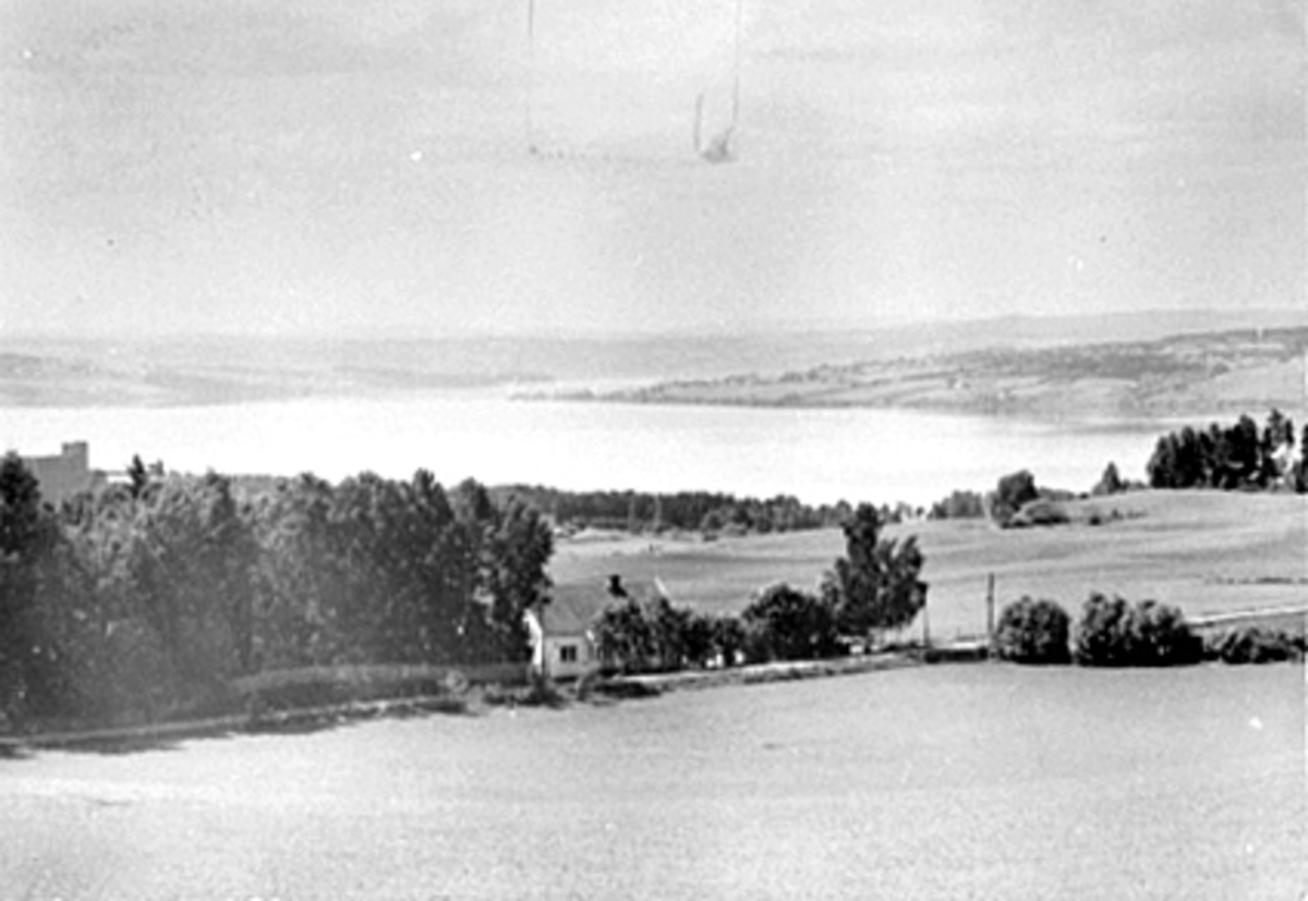 Hamar vest, utsikt fra Hol gård før utbygging, jorder, kulturlandskap, 